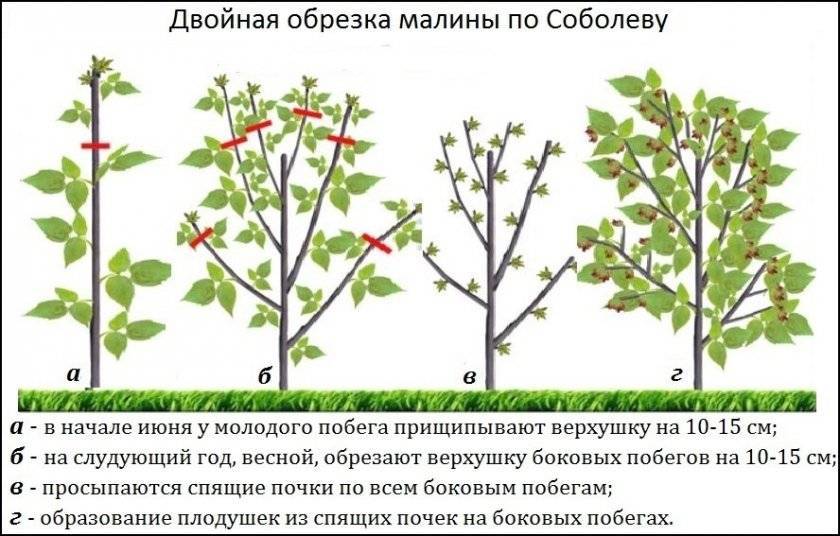 Обрезка картинки онлайн бесплатно