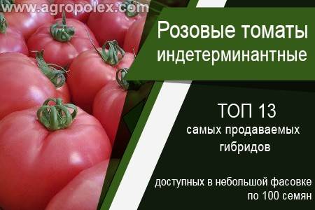 Лучшие индетерминантные сорта томатов для теплиц из поликарбоната
