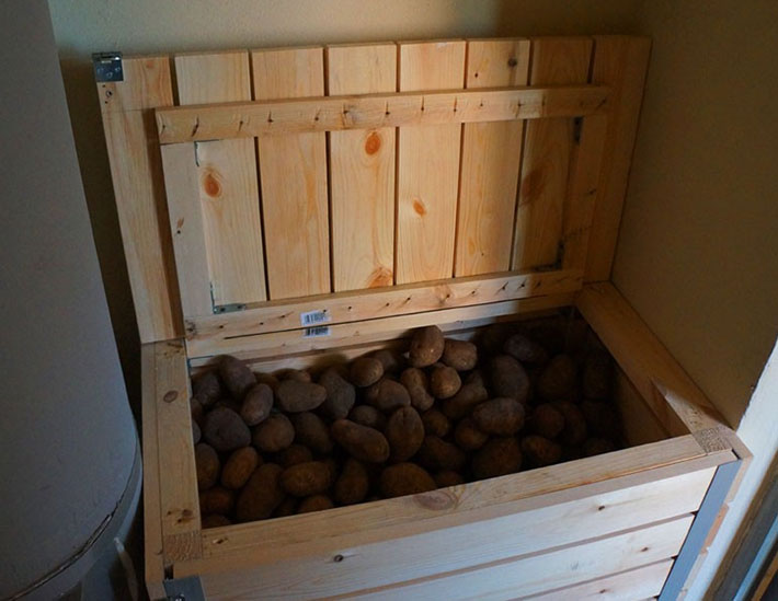 Как и где нужно хранить картошку в квартире