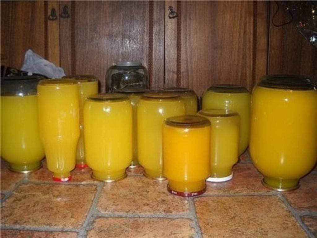 ТОП 12 рецептов приготовления на зиму апельсинового сока в домашних условиях