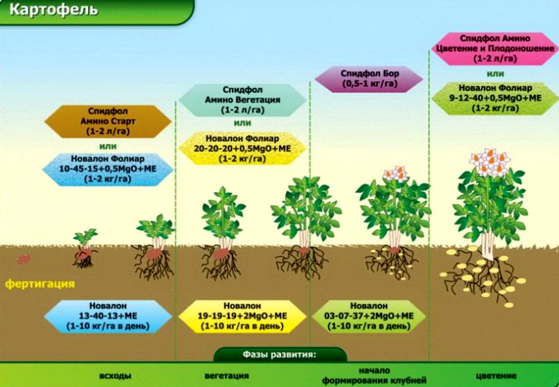 Топ самых полезных удобрений необходимых для огорода весной