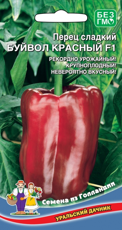 Описание сорта перца красный бык, его характеристика и урожайность