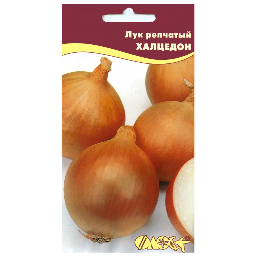 Лук халцедон — описание сорта, фото, отзывы, посадка и уход