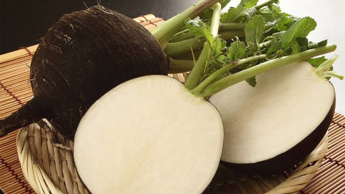 Белая редька – дайкон: полезные свойства и противопоказания овоща. практические рекомендации по употреблению