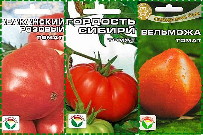 Томат сарра f1 - описание сорта гибрида, характеристика, урожайность, отзывы, фото
