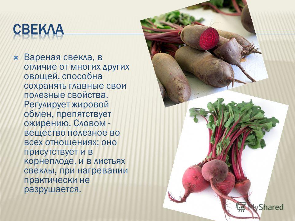 «покаянный овощ»: вред, польза и целебные свойства редьки // нтв.ru