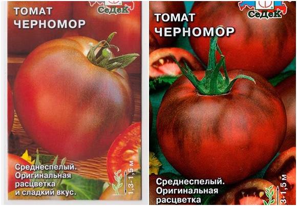 Как посадить и вырастить томат «черномор»