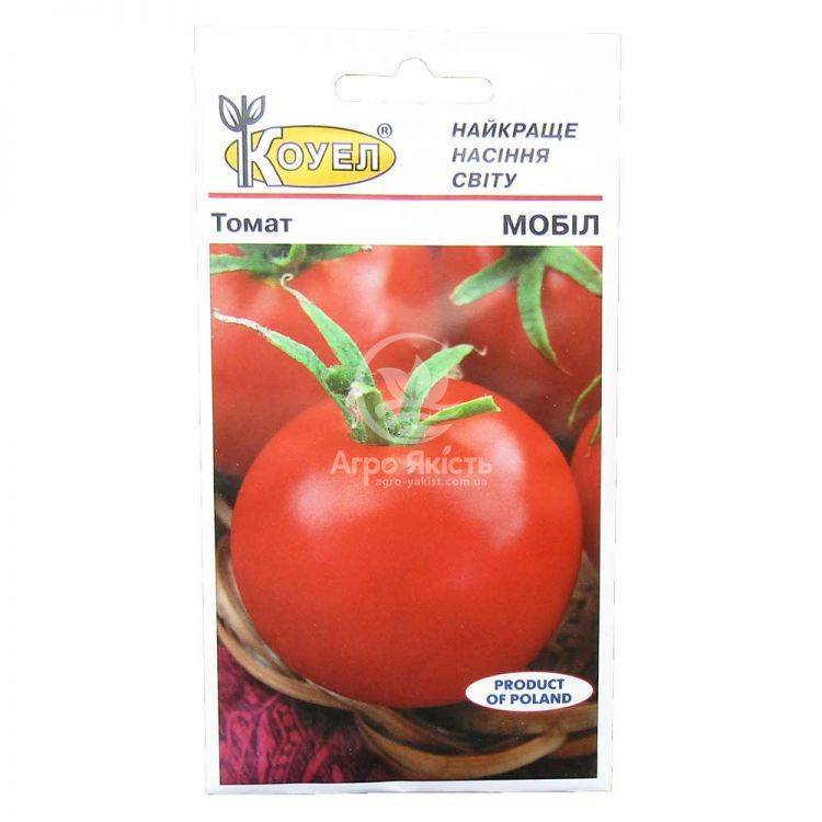 Лучшие сорта томатов для урала для теплиц и открытого грунта с фото и описанием