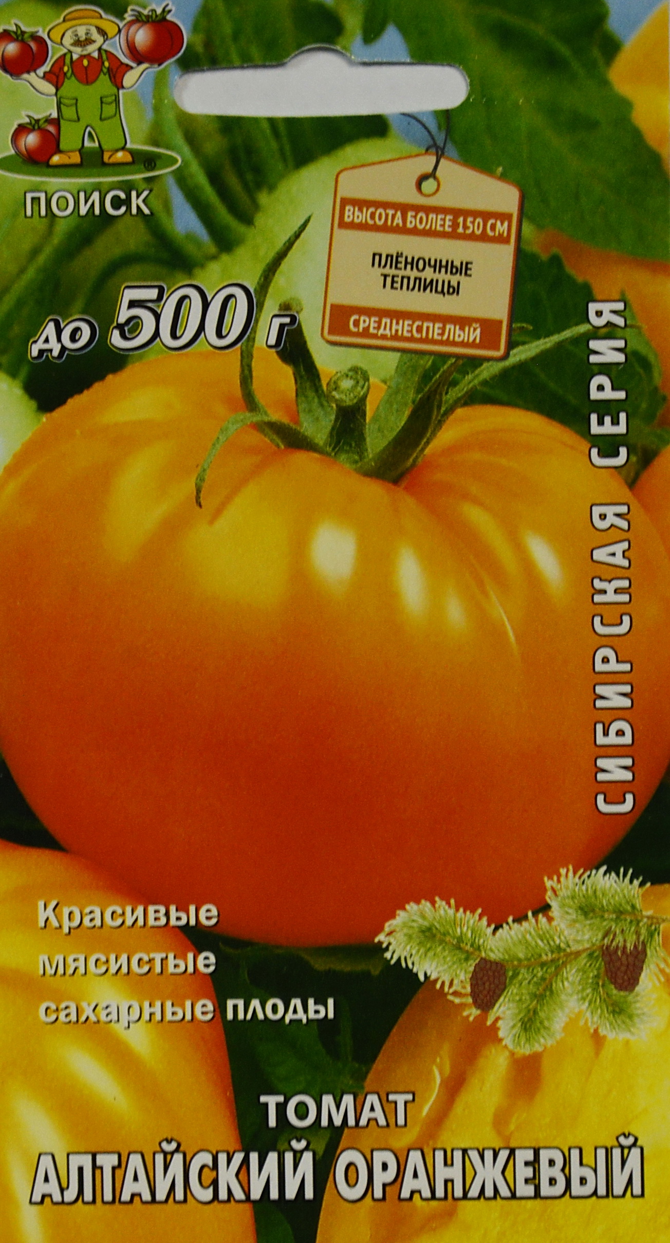 Томат алтайский оранжевый — описание и характеристика сорта | zdavnews.ru