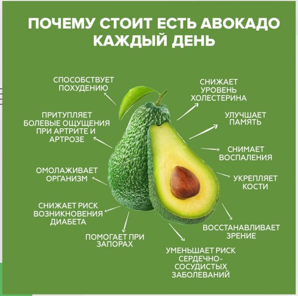 Авокадо польза и вред. калорийность