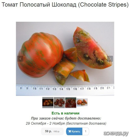 «полосатый шоколад» — очень крупноплодный сорт помидоры
