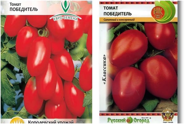 Обзор лучших сортов семян томатов для Ростовской области открытого грунта