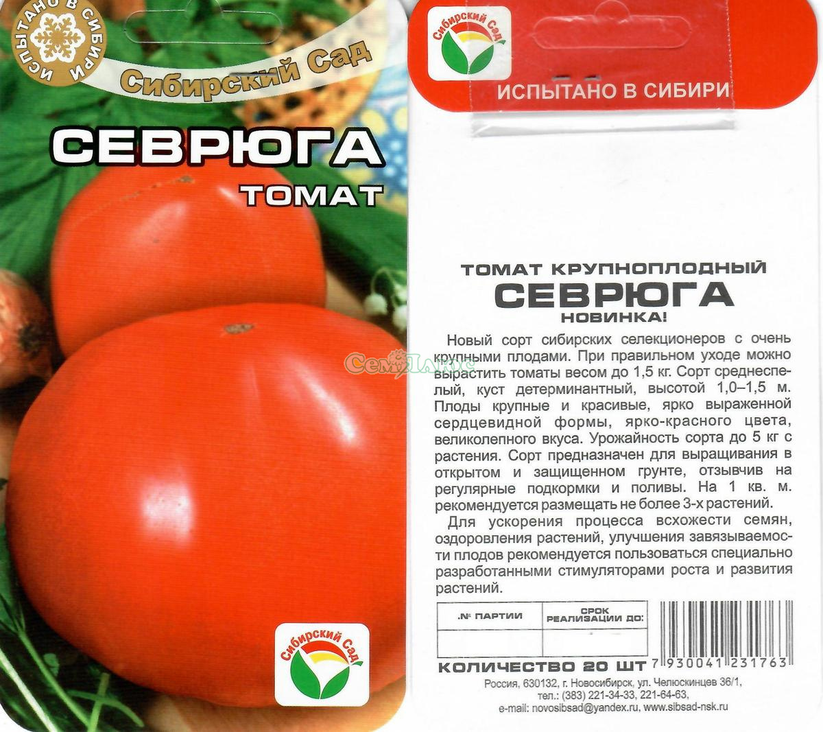 Характеристика помидор «пудовик» или «севрюга»