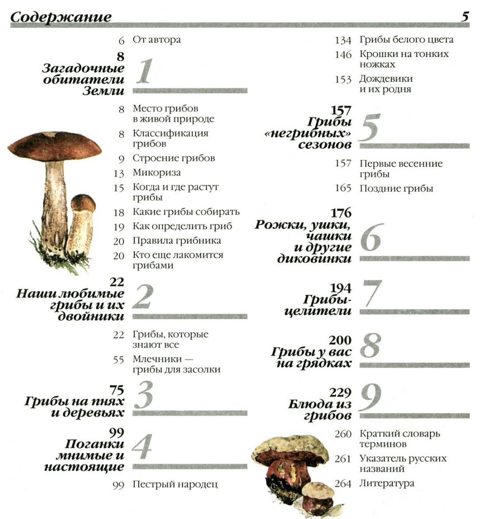 Чем полезны грибы: съедобные лесные и культивируемые