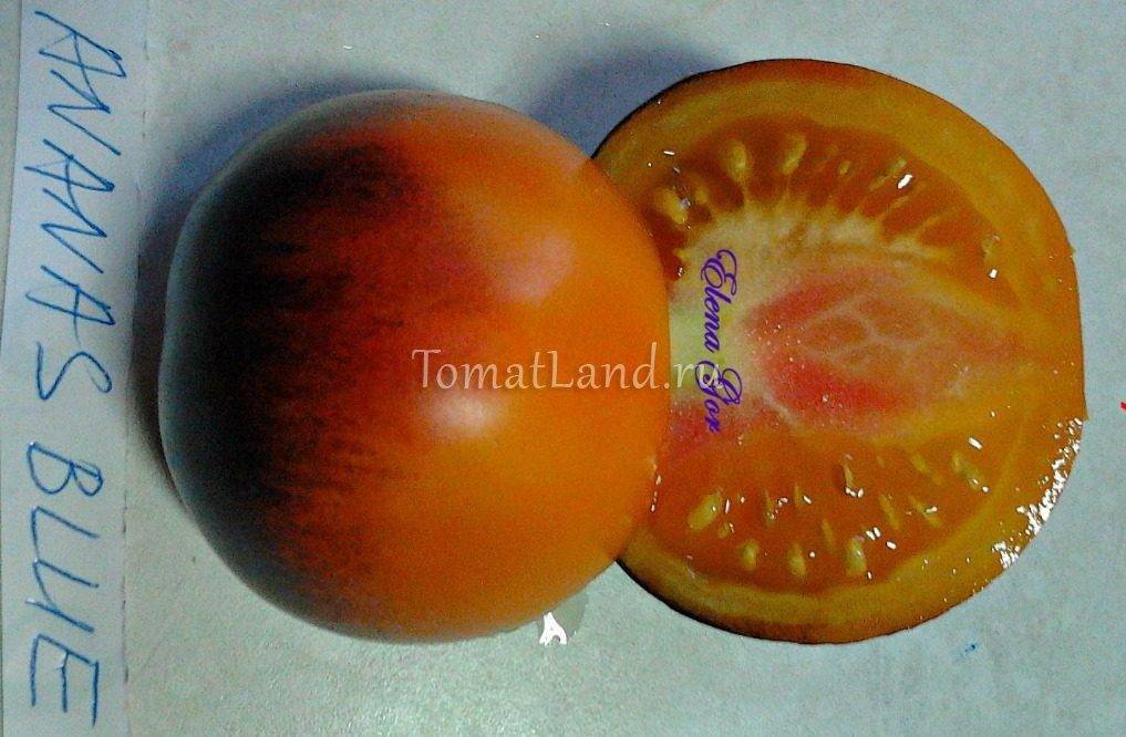 Томат черный ананас: описание сорта, фото, отзывы