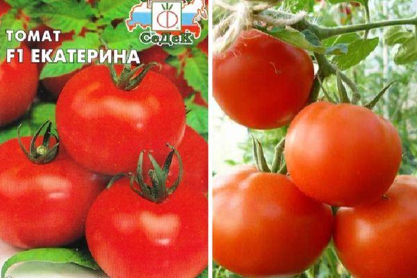 Описание и характеристика томата Екатерина Великая f1, отзывы огородников