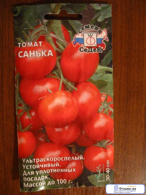 Сибирский скороспелый – холодоустойчивый ранний сорт помидоров