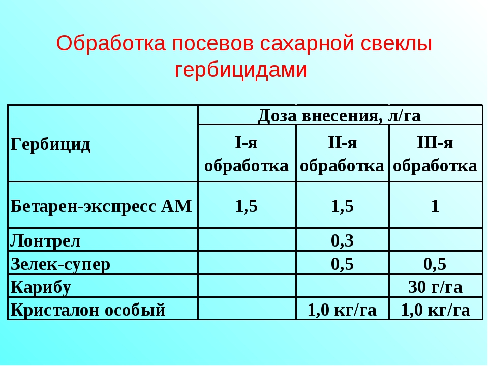 Схема защиты столовой свеклы