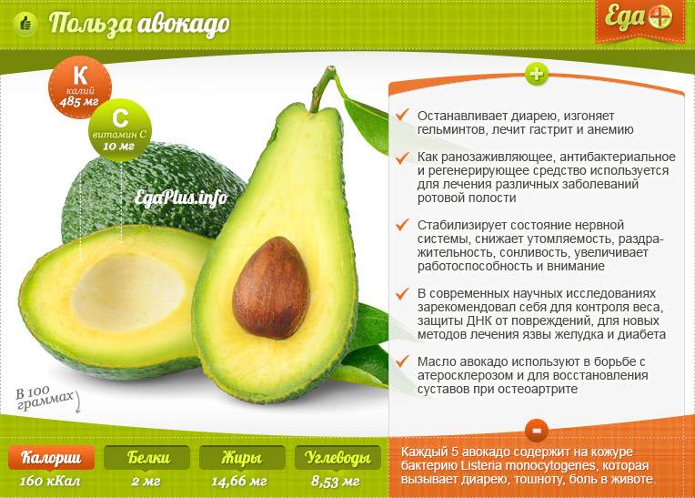Истинная калорийность авокадо, секреты его применение в пищу и для похудения