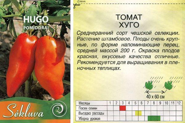 Описание томата Хуго, выращивание гибридного сорта рассадным способом и дальнейший уход