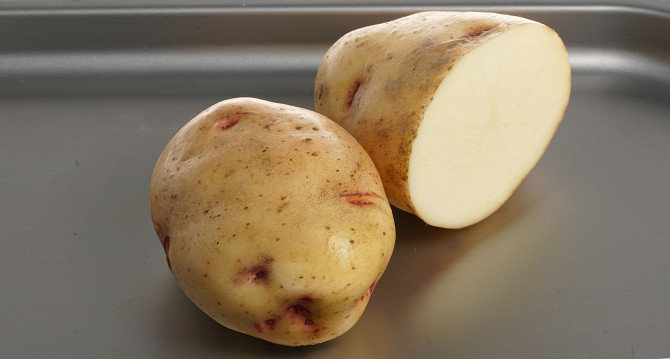 Описание сортов картофеля сорокодневки, выращивание, когда копать