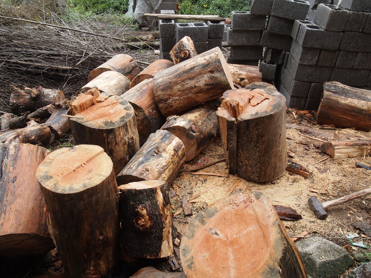 Какие дрова лучше выбрать для шашлыка: рекомендации