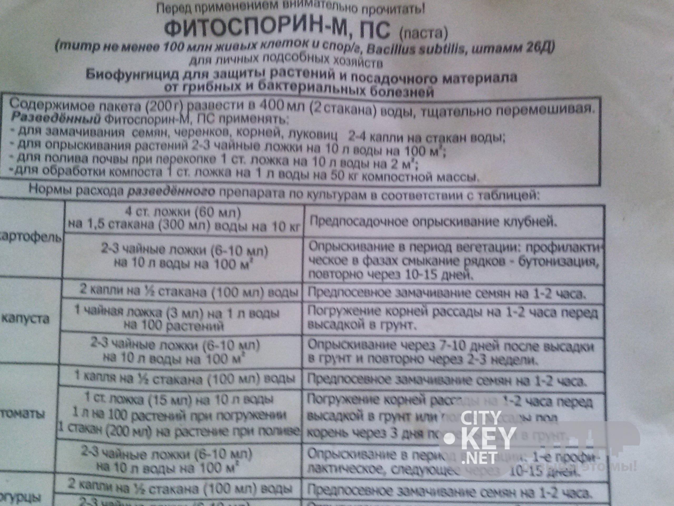 Фитоспорин для комнатных растений: инструкция по применению современного биофунгицида