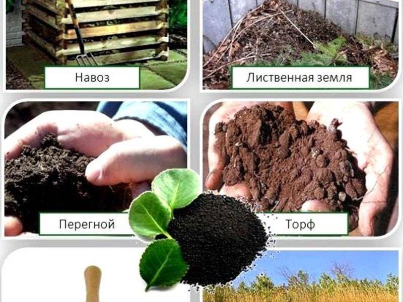 Органические удобрения | справочник пестициды.ru