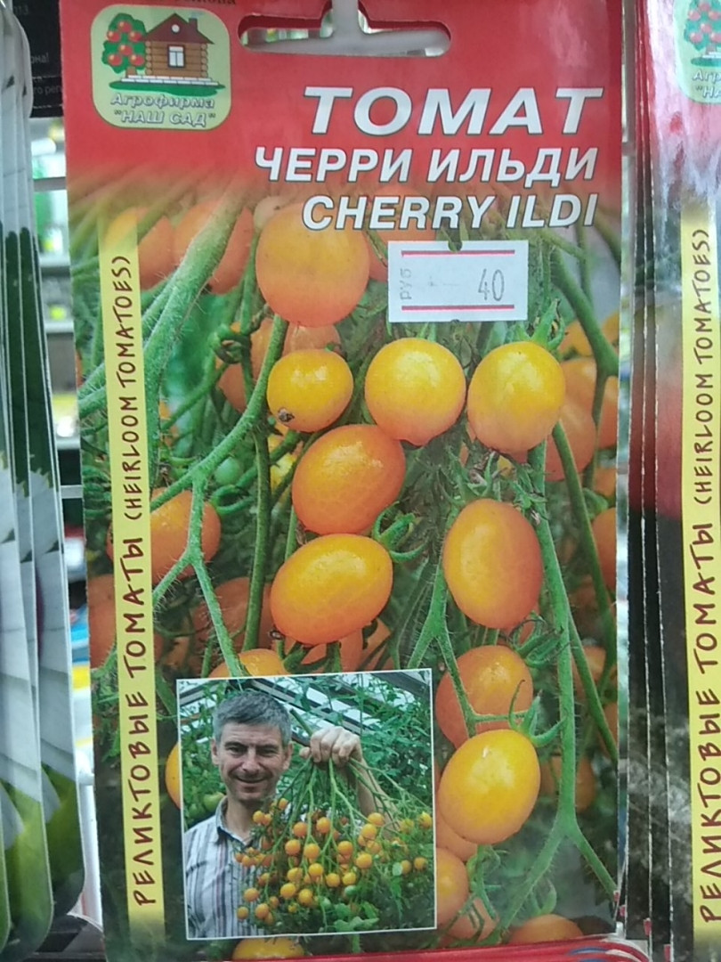 Томат ильди: описание сорта, отзывы, фото, урожайность | tomatland.ru