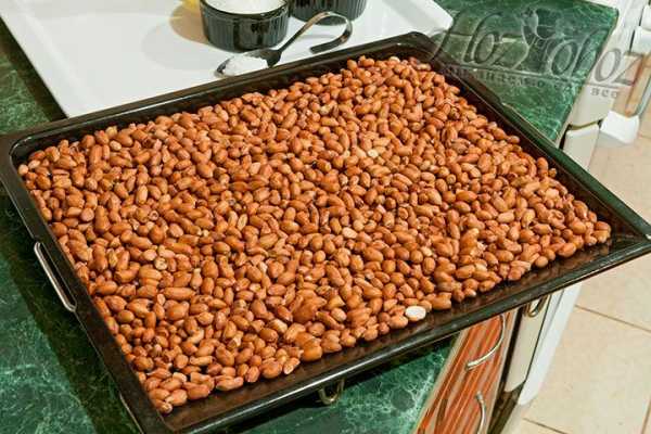 Как сушить грецкие орехи  в духовке  в домашних условиях?
