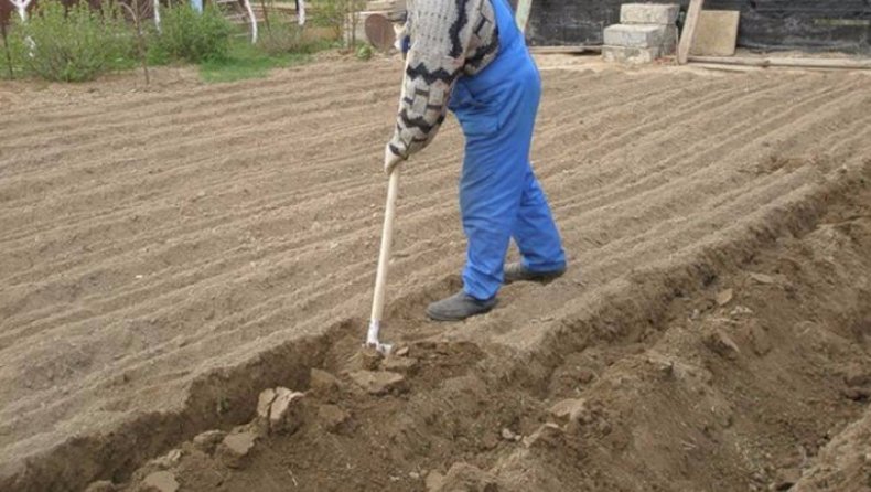 Когда и зачем копать огород, как правильно перекапывать грядки