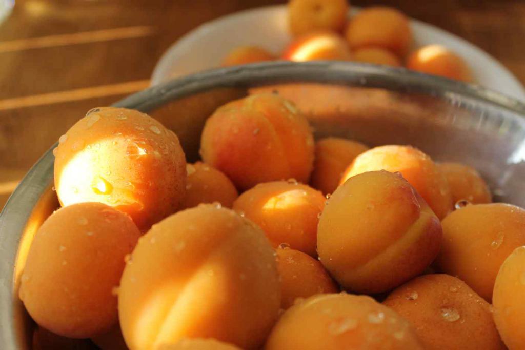 Что приготовить из абрикосов на зиму и 19 лучших пошаговых рецептов