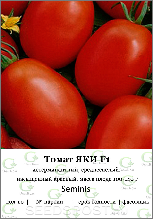 Томат «комнатный сюрприз»: описание сорта и рекомендации по выращиванию помидоры