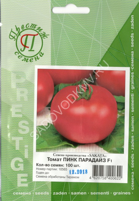 Как правильно выращивать помидоры пинк парадайз?