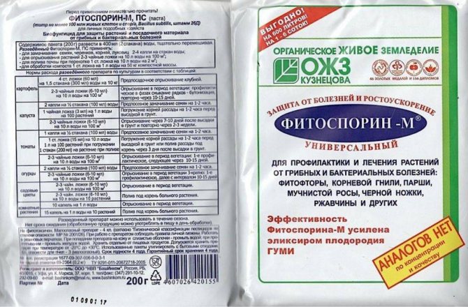Гемангиома печени: причины, симптомы, лечение и профилактика