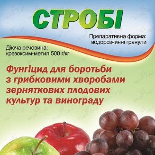 «скор» для винограда: инструкция по применению, пропорции и сроки обработки