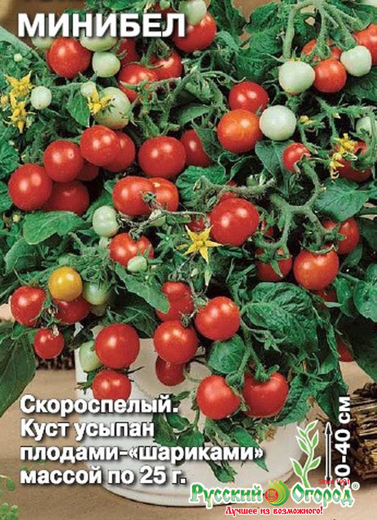 Индетерминантные и детерминантные сорта томатов: что это такое и как их выращивать? - sadovnikam.ru