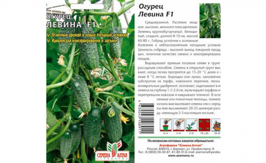 Раннеспелый огурец сибирский экспресс f1: описание, методика выращивания, отзывы