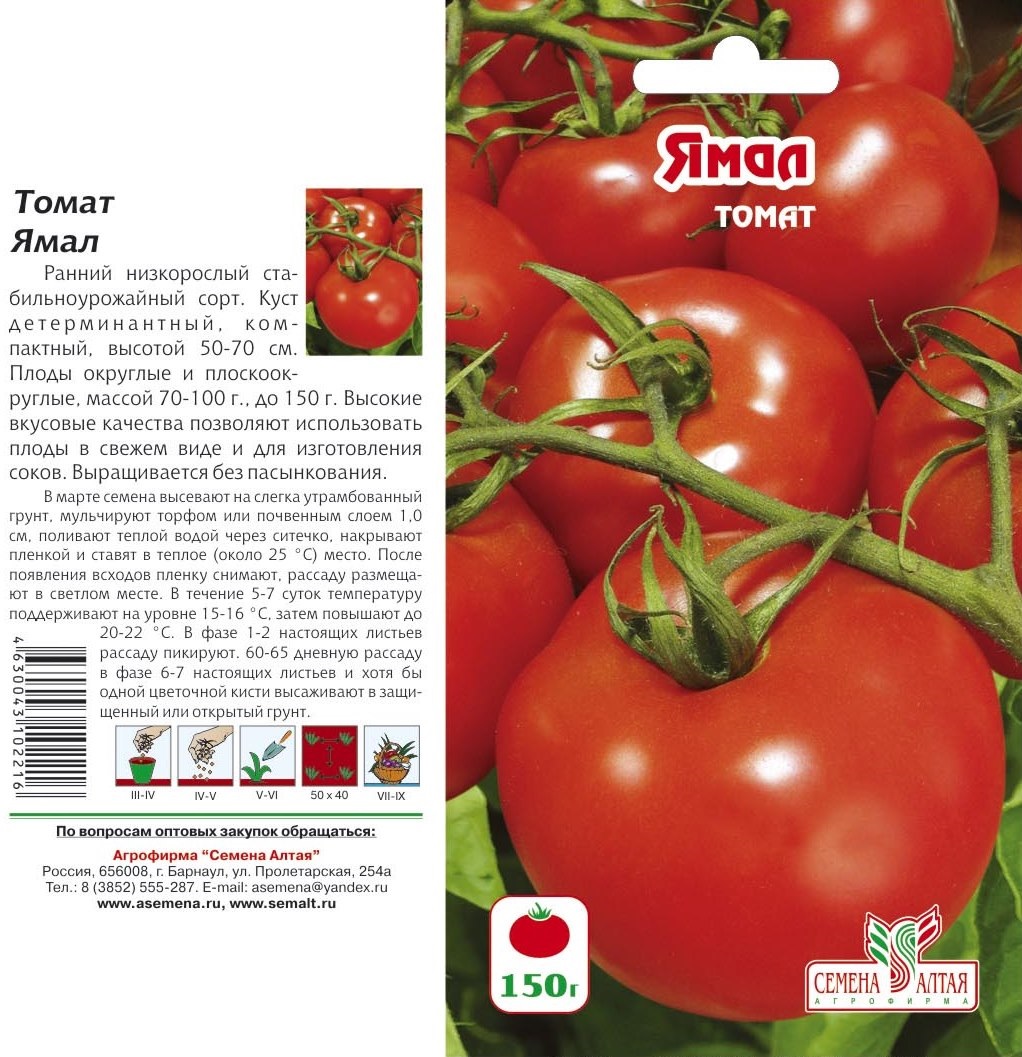 Томат tmag 666 f1: характеристика и описание сорта, способы выращивания с фото