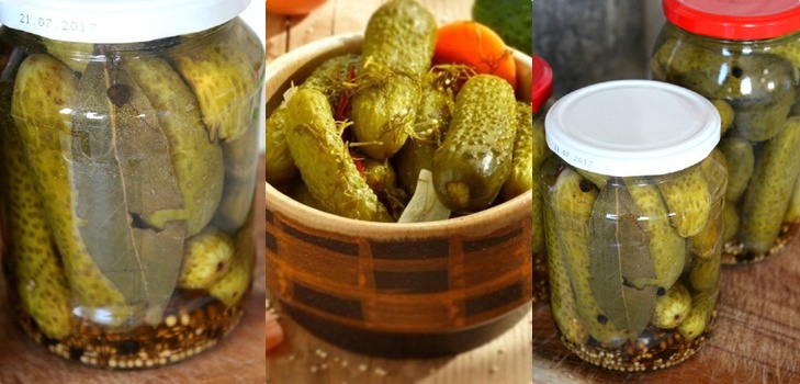 Огурцы с горчицей на зиму: самый вкусный рецепт без стерилизации