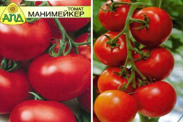 Томат манимейкер: фото, отзывы, урожайность | tomatland.ru