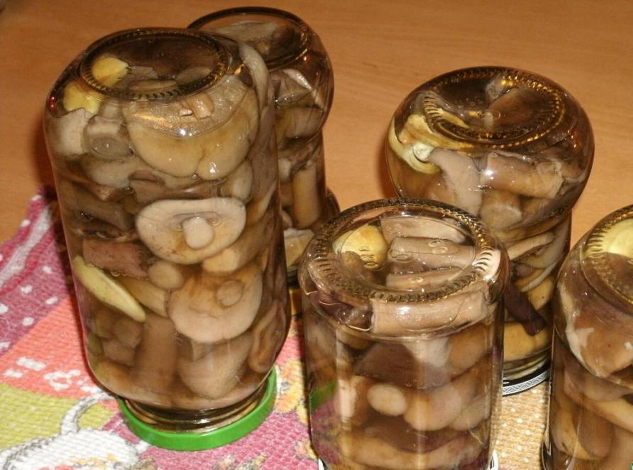 Белые грибы маринованные на зиму: рецепты приготовления с фото
