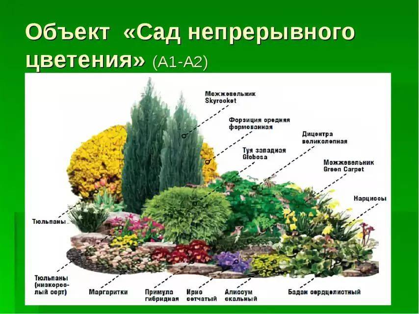 Ландшафтный дизайн: выбираем цветы для посадки