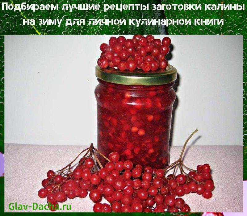 Брусника на зиму - способы заморозки ягод, рецепты варенья, сока и компота