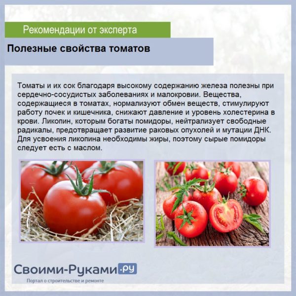 Характеристика и описание томата “денежный мешок”