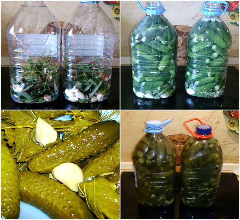 Рецепты соленых огурцов в 5 литровых пластиковых бутылках на зиму