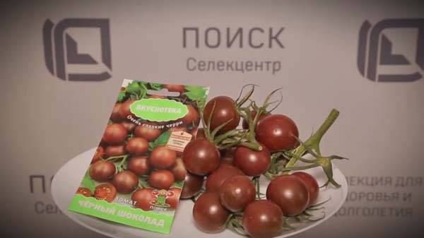 Томат полосатый шоколад: отзывы, фото, урожайность, описание и и характеристика | tomatland.ru