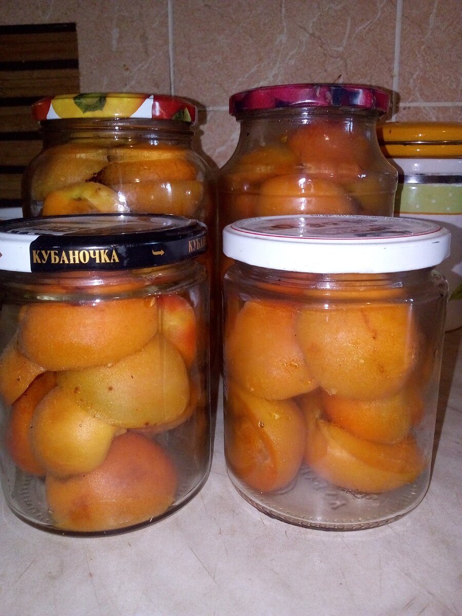 Как хранить сушеные абрикосы в домашних условиях: правила и сроки, выбор места