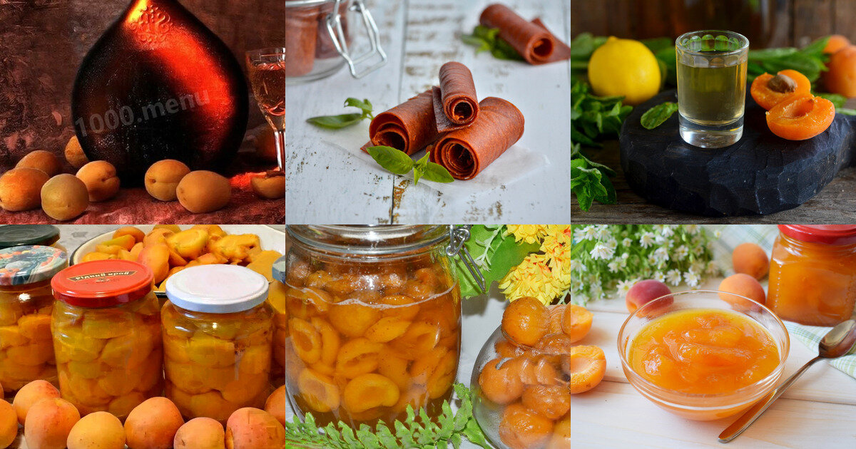 Консервирование абрикосов в домашних условиях: варианты, рецепты и рекомендации