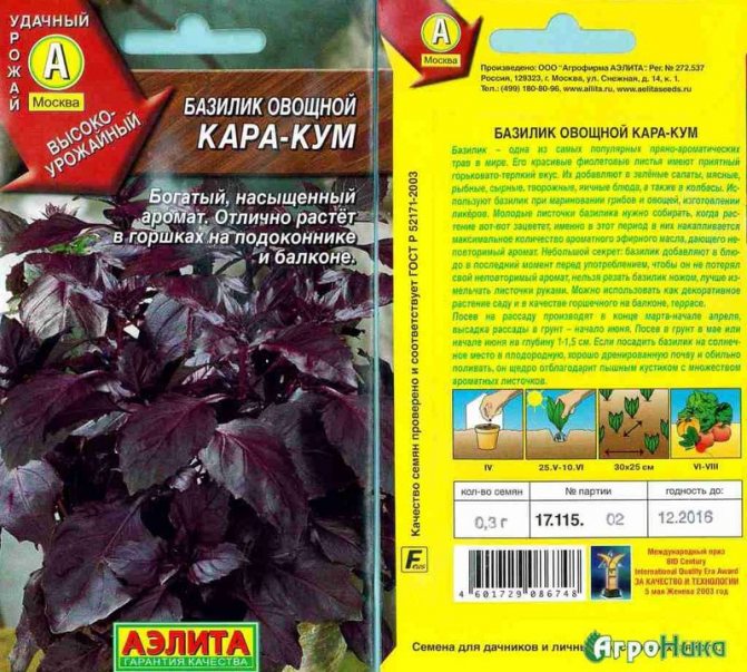 Базилик зеленый и фиолетовый: разница, полезные свойства и противопоказания, выращивание